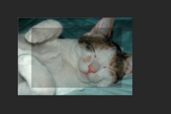 ps肿么让图片变清晰？