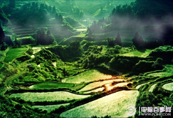 怎么用ps将图片处理成油画状