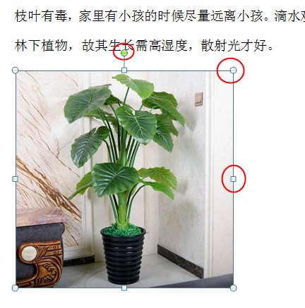 w来自ord文档带图片的肿么排版