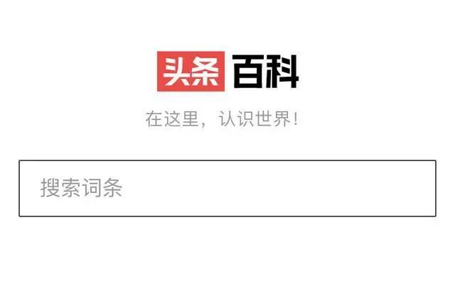 今日头条搜索广告(今日头条搜索广告投放)