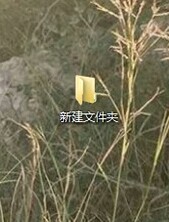 iPhone里来自我的电脑的相片怎么删除不了？