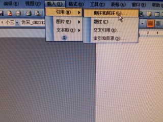 word里肿么添加一句话的出处