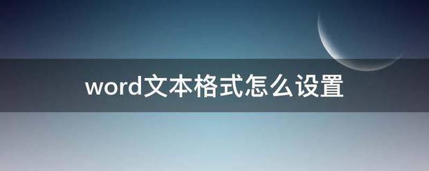 word文本格式怎样设置
