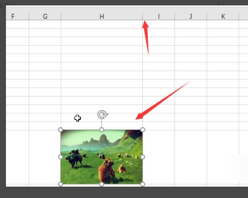 word图片怎么填充到和表格一样大小