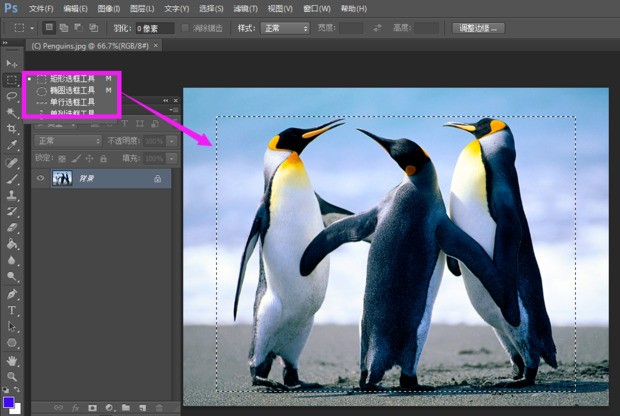 photoshop cs5版怎么删除选中部分？Delete怎么是填充啊？