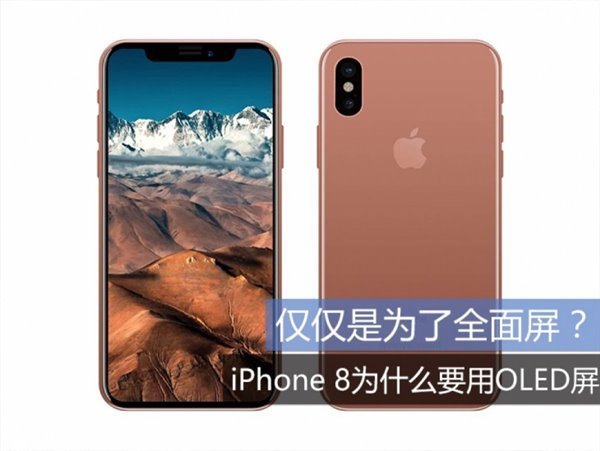 苹果17的oled屏参数