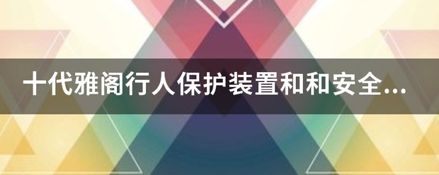 行人保护装置那两个叫什么名字
