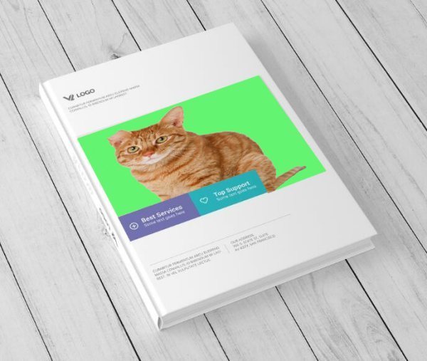 PS样机模板套用来自为什么没法正确置入图片？