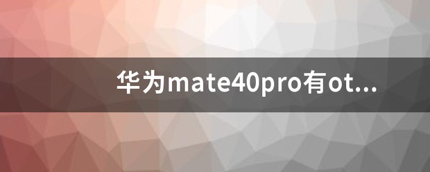 mate40肿么打开otg功能