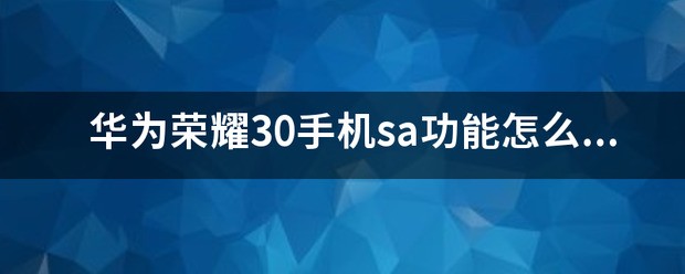 华为荣耀手机sa开关在哪里