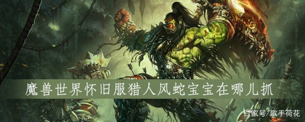 魔兽世界玛拉顿，猎人拉怪为何用风蛇，哪里抓的？
