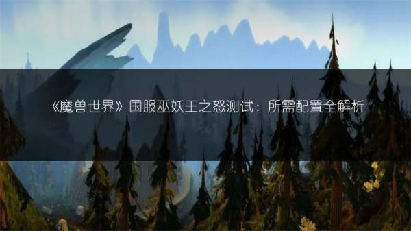 国服巫妖王之怒的职业挑选