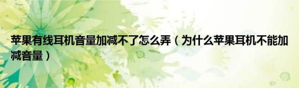 假的苹果有线耳机能调节音量吗