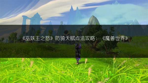 魔兽世界巫妖王80防骑主堆什么？