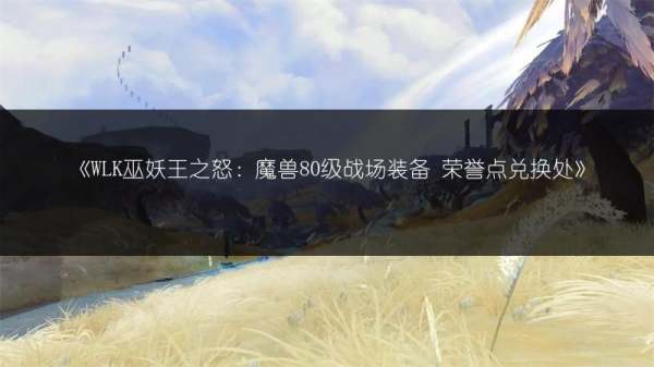 巫妖王之怒有哪些副本可以进战场的