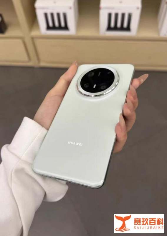 华为Mate 70与Mate 70 Pro参数对比，哪款更适于你？