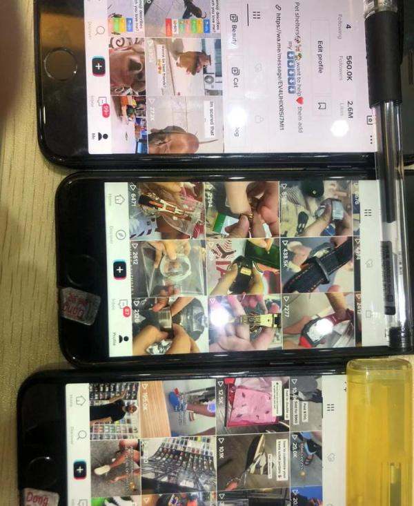 tiktok国际版为何没有网络，tiktok国际版显示无网络