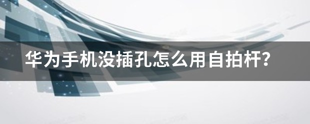 苹果8自拍杆的插孔在哪