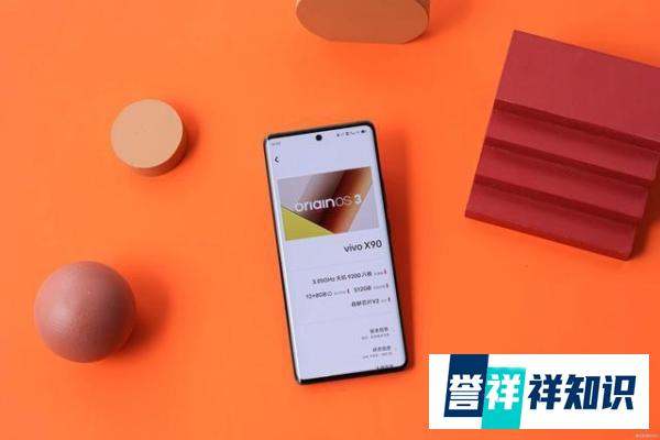 vivo X90评测：硬核性能王者，亦有细致一面