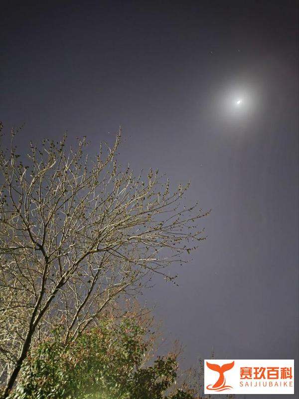 天玑9400，在AI智能计算等多个方面显著提升