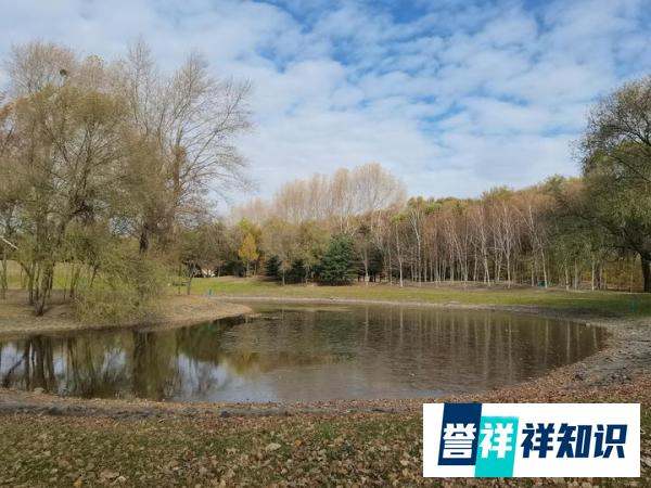 首席消费官：每天优鲜全职员工剩55人 高通发布第二代骁龙8芯片