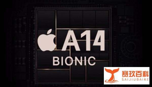 骁龙865相当于苹果什么处理器