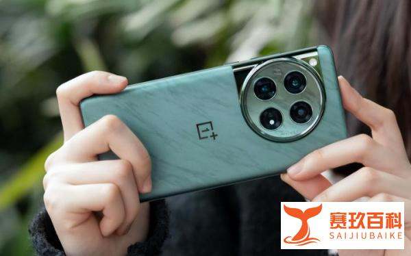 ?2024几乎“零差评”的4部手机，配置强体验杰出，用三五年没压力