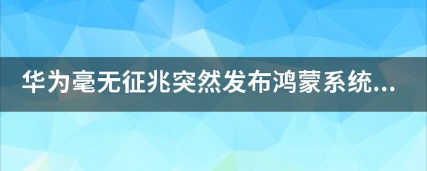 鸿蒙系统有没有隐藏空间