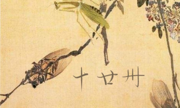 3个小念什么