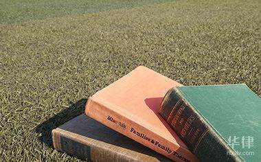 红米和vivo系统哪个更好？