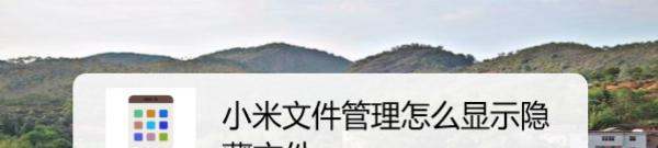 小米手机肿么显示隐藏文件