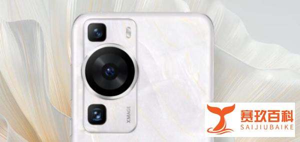 4月份了，华为P60和荣耀magic5相較，入手哪个合适？