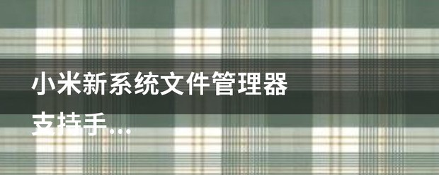 小米文件管理手机系统文件是哪个,