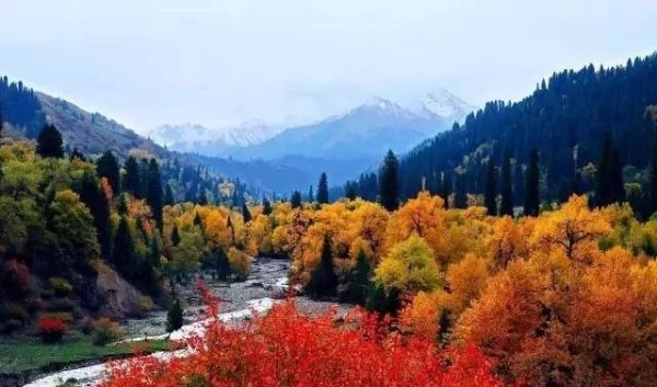 用小米帐户可以看手机屏幕在干啥嘛