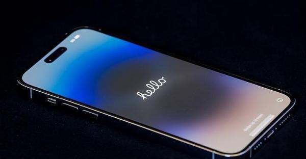 iphone 15 pro max的电池用的是哪家生产的