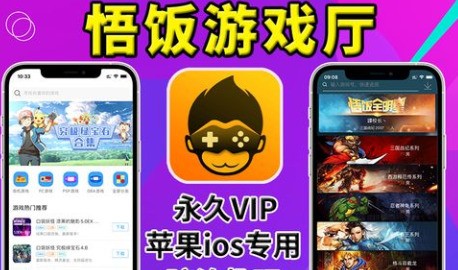 怎么设置《悟饭游戏厅》中的手柄？