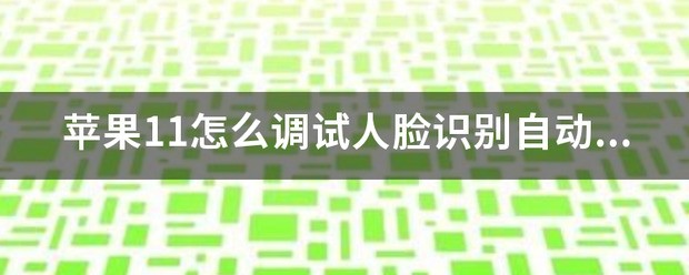 苹果11为何人脸识别不了