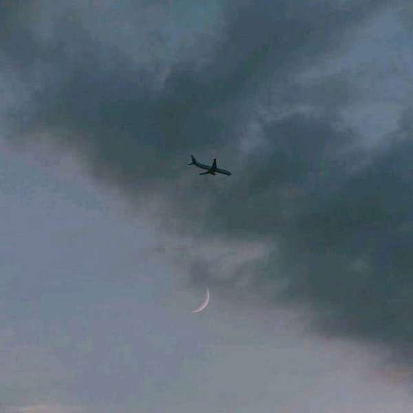 vivo手机右上角圆圈加号肿么去掉 20