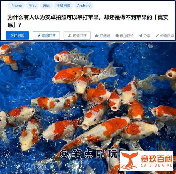 苹果和android哪个拍照更强？