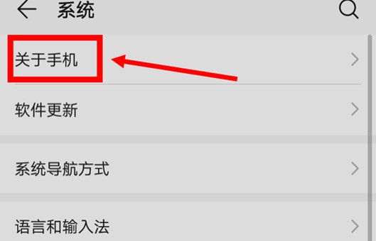 手机开发人员选项肿么打开？