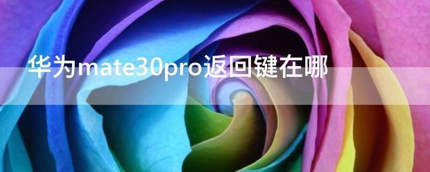 华为30pro肿么调返回键