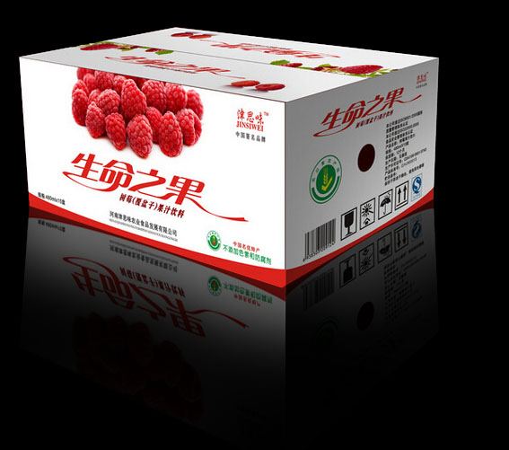 在AI中如何做出图片中的这种投影效果，如果AI不能那么PS怎样做？ 5