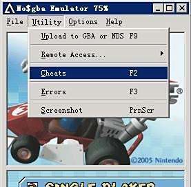 怎么样在模拟器用金手指修改NDS游戏