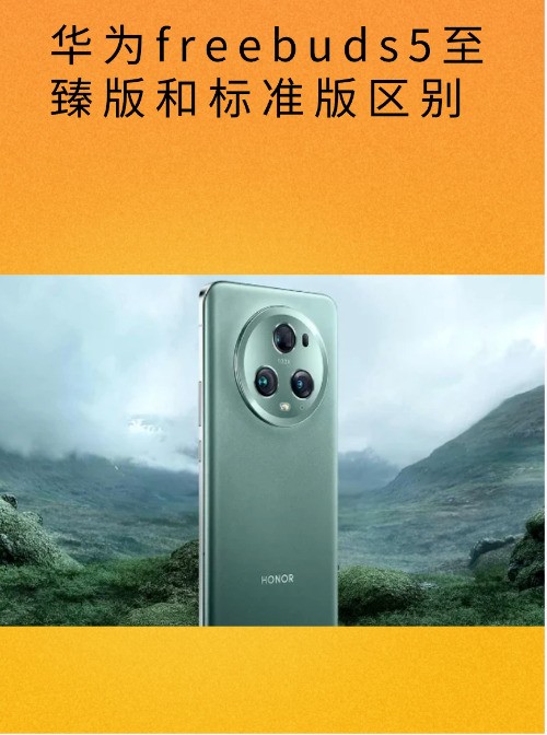 华为freebuds5至臻版和标准版区？