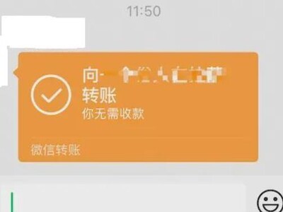 微信群转账肿么显示你无需收款
