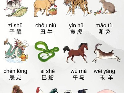 圆筒装着自糊糊，每天早晚挤一挤。三十二个小兄弟，都说用它有好处。十=生肖打一动物