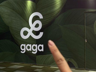  Where to download the gagaoolala software