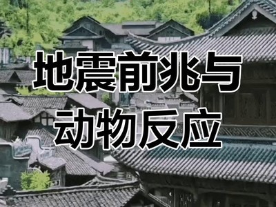 青蛙在一个地区里，集体搬家，预兆什么？