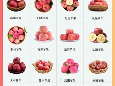 中国十大优质苹果原产地分别在哪?