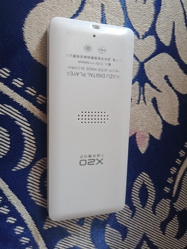 锐族的mp3泡水了,但是我想把里面那些文件拿